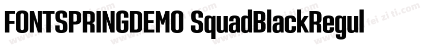 FONTSPRINGDEMO SquadBlackRegular字体转换